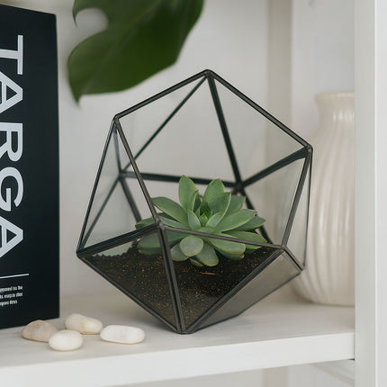 Geometrické skleněné terárium pro kaktusy a sukulenty