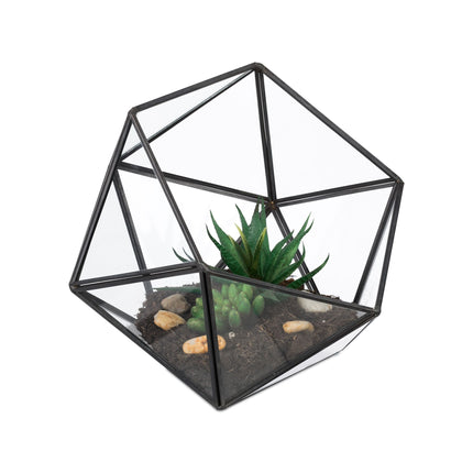 Geometrické skleněné terárium pro kaktusy a sukulenty