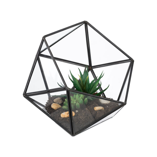 Geometrické skleněné terárium pro kaktusy a sukulenty