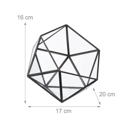 Geometrické skleněné terárium pro kaktusy a sukulenty