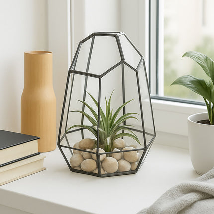 Geometrické skleněné terárium pro sukulenty, 25 cm