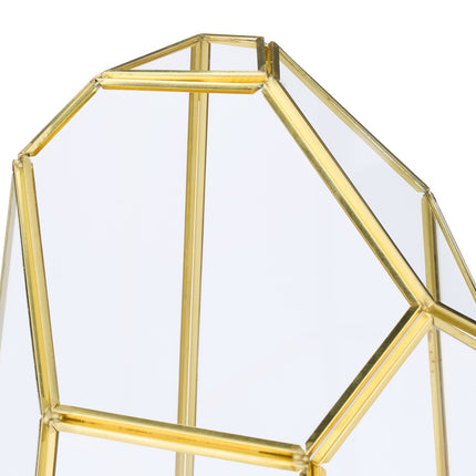 Geometrické skleněné terárium pro sukulenty a vzdušné rostliny