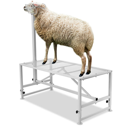 Goat & Sheep Milking Stand, 47x23 in, 500 lb Capacity
