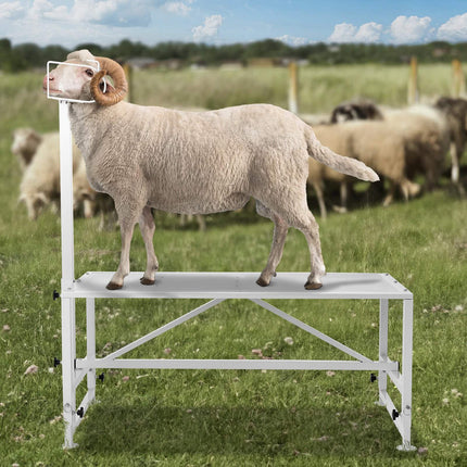 Goat & Sheep Milking Stand, 47x23 in, 500 lb Capacity