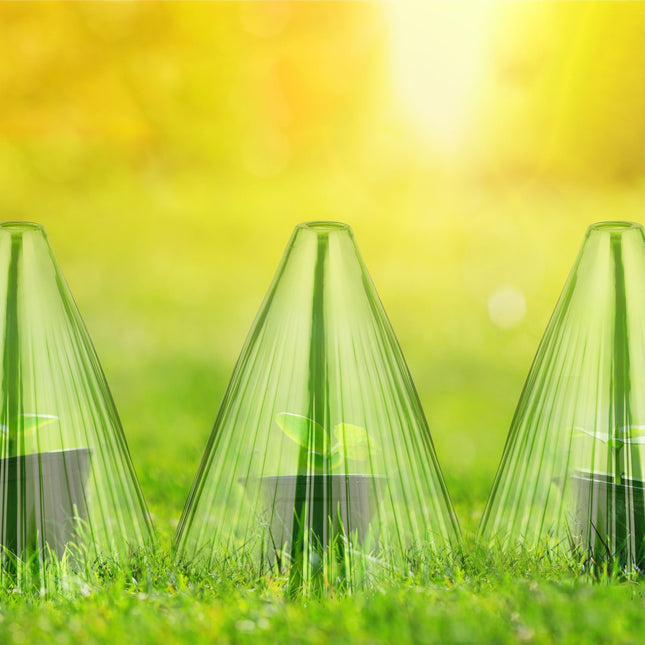 Green Plant Protection Cones, Set of 32