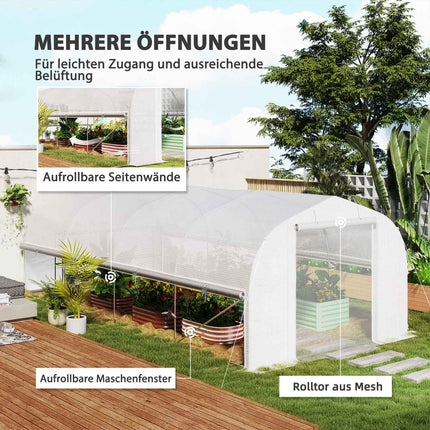 UV-resistant 6x3x2m Greenhouse, Roll-Up Sides, Steel Frame