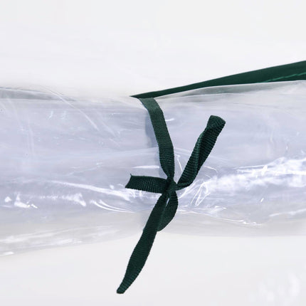 Skleník z oceli a PVC s dveřmi – pařeniště 250x100x80cm