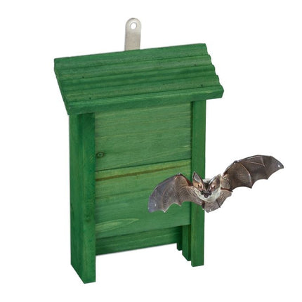 Green wooden bat box