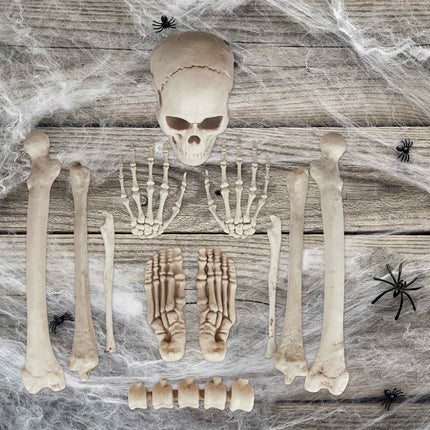 Halloweenská dekorace kostra – sada 12 kostí