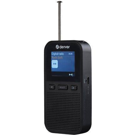 Přenosné rádio DAB+/FM s vestavěným reproduktorem