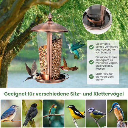 Hanging Bird Feeder 2 in 1 Wild Bird Feeder 16 x 28 cm Bronze