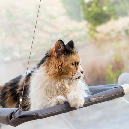 Závěsná houpací síť pro kočky Catlax InnovaGoods