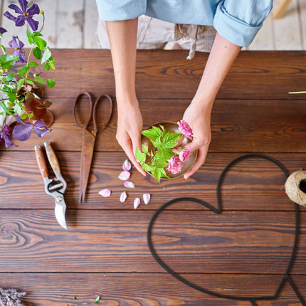 Srdce jako opora pro popínavé rostliny