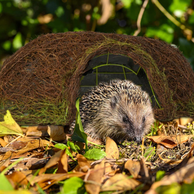 Domek pro ježky Igloo