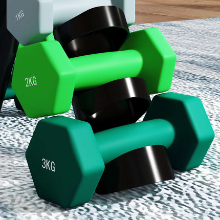 Sada hexagonálních činek se stojanem – páry 1kg, 2kg, 3kg