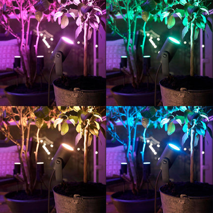 Hue Lily Wh/Color rozšíření 24V