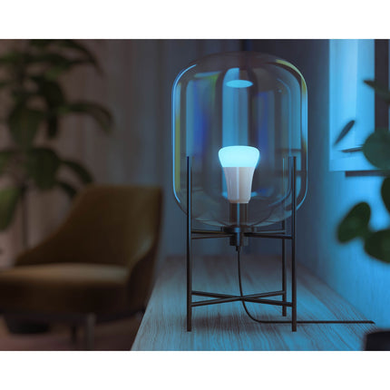 Hue White Color Ambiance E27 800lm 2 ks
