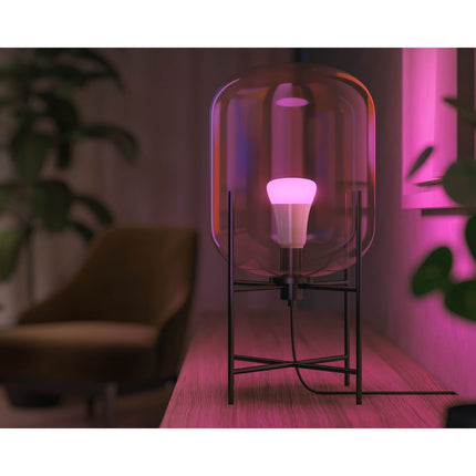 Hue White Color Ambiance E27 800lm 2 ks