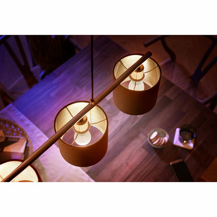 Hue White E14 P45 Globe 2 ks