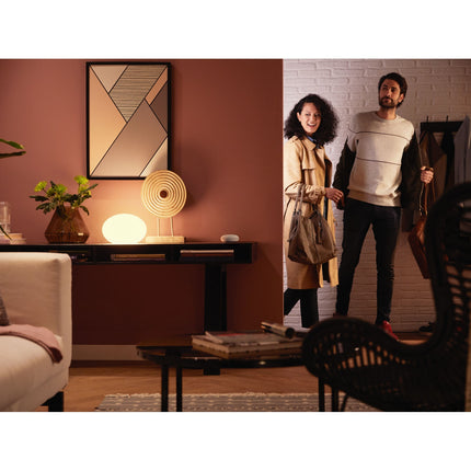 Hue White E27 A60 1100lm 1 ks