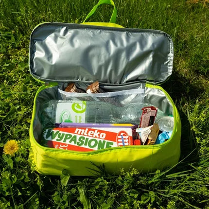Insulated beach/picnic bag