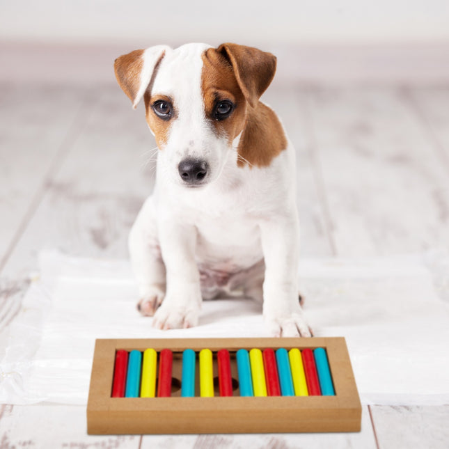 Intelligentes Spielzeug für Hunde