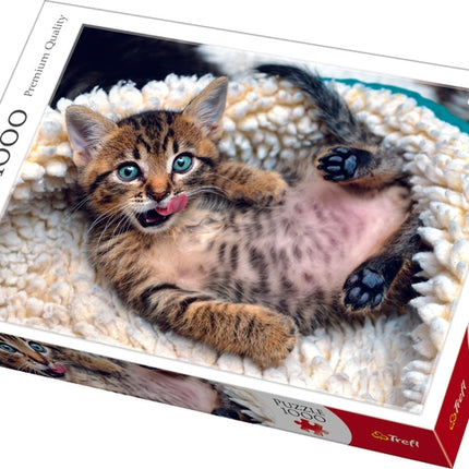 Puzzle koťata, 1000 dílků, zábava pro celou rodinu