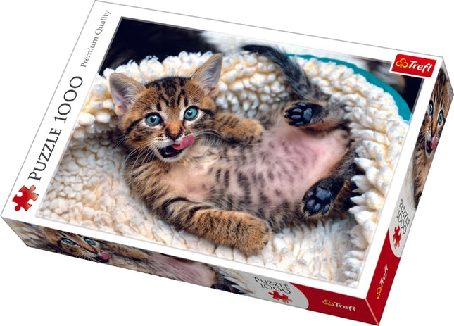 Puzzle koťata, 1000 dílků, zábava pro celou rodinu