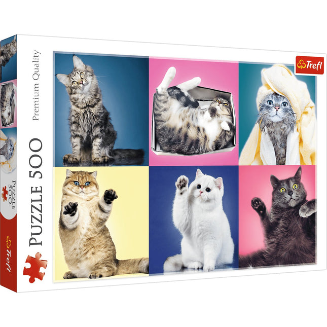 Puzzle koťata, 500 dílků, pro děti i dospělé