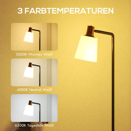 LED Floor Lamp, Adjustable Head, 3 Color Temperatures