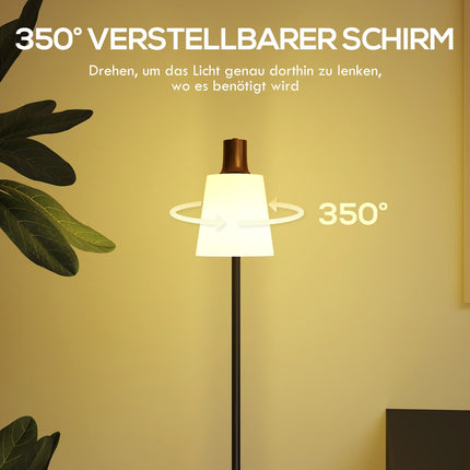 LED Floor Lamp, Adjustable Head, 3 Color Temperatures