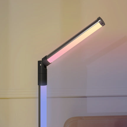 Dimmable LED floor lamp with remote control & app, dark grey