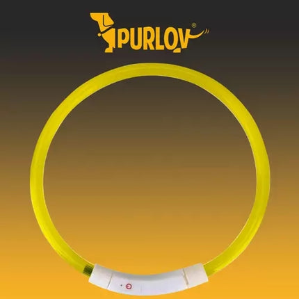 LED obojek s nastavitelným světlem Purlov 21631