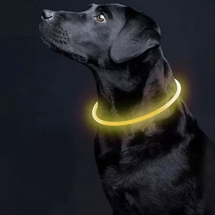 LED obojek s nastavitelným světlem Purlov 21631