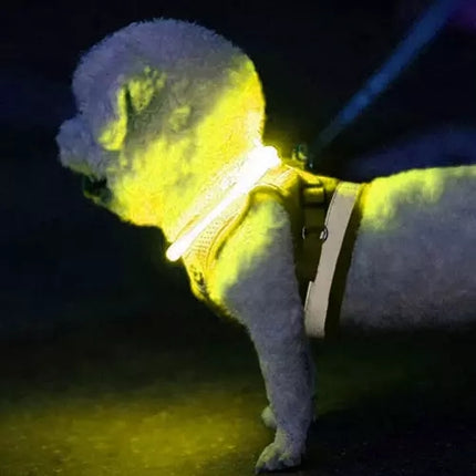 LED obojek s nastavitelným světlem Purlov 21631