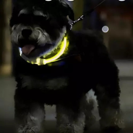 LED obojek s nastavitelným světlem Purlov 21631
