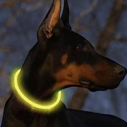 LED obojek s nastavitelným světlem Purlov 21631