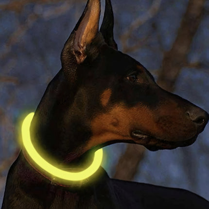 LED svítící obojek - nastavitelný Purlov 24200