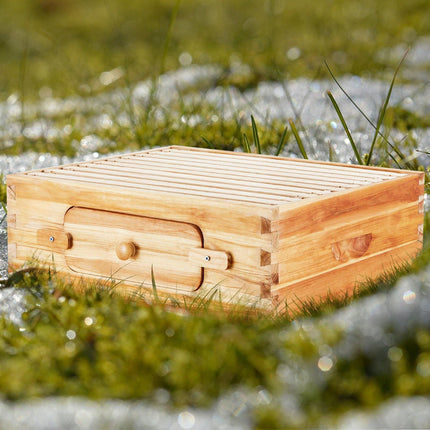 Langstroth Beehive Medium Box Kit, 10 Frames, Bee Window
