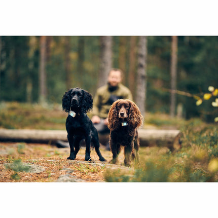 GPS lokátor Lildog 2 pro psy