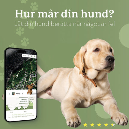 GPS lokátor Lildog 2 pro psy