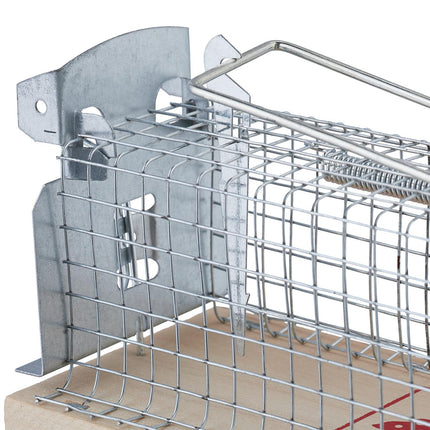 Live Mouse Trap Set – Humane Rodent Catch and Release