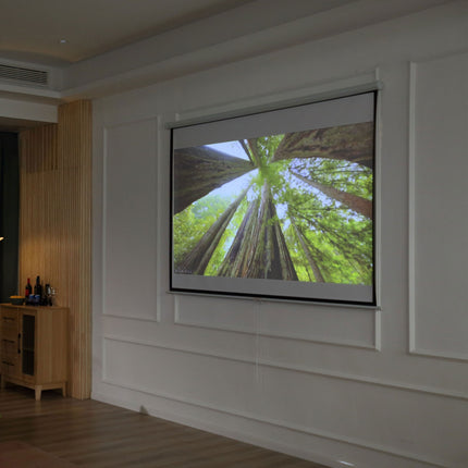 ruční projekční plátno, 100 palců, 4:3/16:9, domácí kino