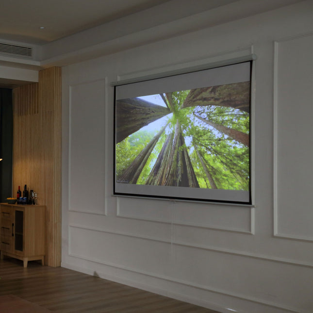 ruční projekční plátno, 100 palců, 4:3/16:9, domácí kino