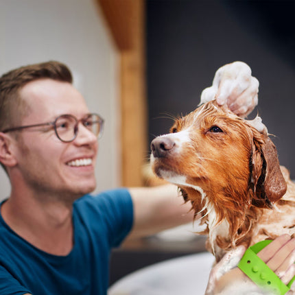 Massagebürste Hund &amp; Katze 3er Set