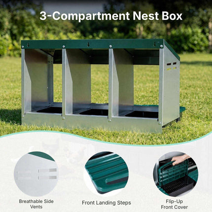 Metal Chicken Nesting Box with 3 Compartments and Egg Trays, Green, Roll Away