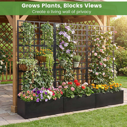 Metal Raised Garden Bed With Trellis, Drainage Holes, Black