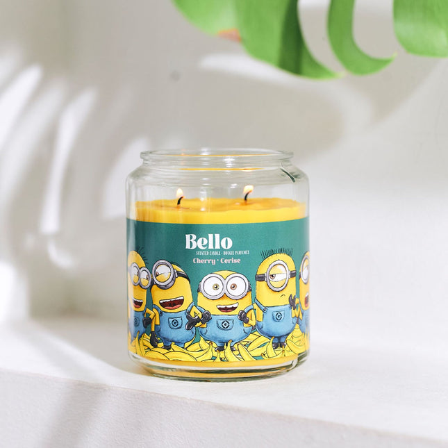 Vonná svíčka Minions, ovocná vůně, 510g
