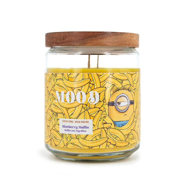 Vonná svíčka Minions, ovocná vůně, 510g