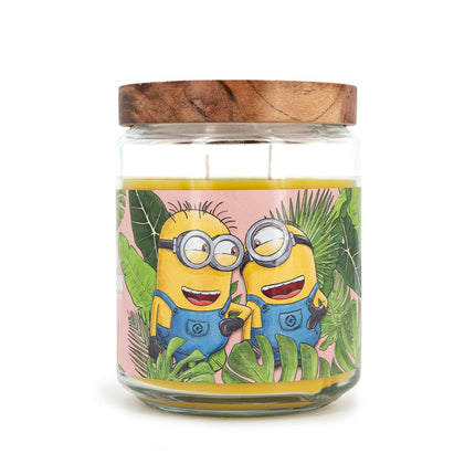 Vonná svíčka Minions, ovocná vůně, 510g